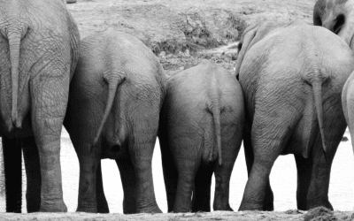 How to make engaging content without showing your bum